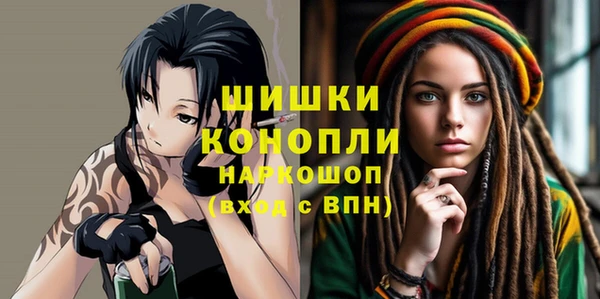 соль ск Снежногорск