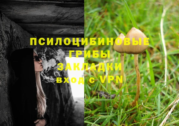 PSILOCYBIN Снежинск