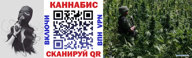 Конопля Amnesia  Купить где  Кострома 